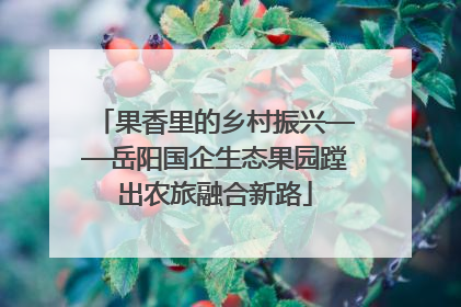 果香里的乡村振兴——岳阳国企生态果园蹚出农旅融合新路